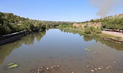 Dicle Nehri’nde balık ölümleri görüldü