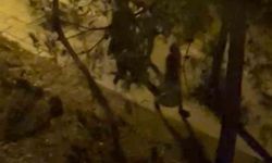 Diyarbakır’da husumetlilerin kavgasında kan aktı, olayla ilgisi olmayan bir kişi hayatını kaybetti