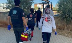 ‘Evden ceset kokusu geliyor’ ihbarı ekipleri alarma geçirdi