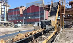 Malatya’da Şeker Üretimi Başladı: Rakamlar Dikkat Çekici!