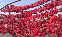 Şanlıurfa’da isotun ’acı’ serüveni başladı