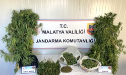 Malatya’da uyuşturucu, tabanca ve tarihi eser yakalandı