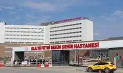 Elazığ'da eşek arısının soktuğu yaşlı adam hayatını kaybetti