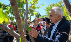 Akçadağ’da çiftçilere tarla eğitimi verildi