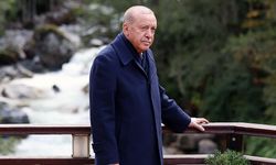 Cumhurbaşkanı  Ayder'i inceledi!