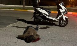Sırtından bıçaklanan genç kan kaybından öldü