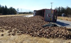 Malatya’da tonlarca pancar yola savruldu!