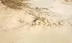 Elazığ’da şiddetli yağış sonrası dereler taştı