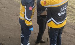 Hayvanlarını otlatırken yanına yıldırım düştü!