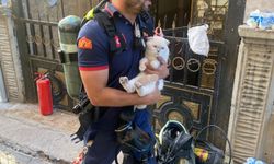 Şivan Perver Caddesi'nde çıkan yangında mahsur kalan kedi kurtarıldı