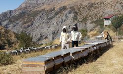 Ailesiyle yalnız yaşadığı köyde yılda 2,5 ton bal üretiyor