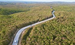 Sonbahar renkleri ormanları sardı