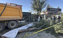 Yeşilyurt'ta Kamyon Dehşeti: 7 İş Yeri Hasar Gördü, Sürücü Yaralandı