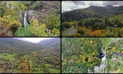 Yunt Dağları hazana büründü