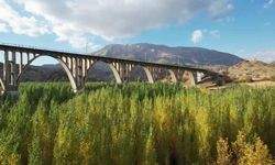 Adıyaman'da Alman Köprüsü’nün etrafında renk cümbüşü