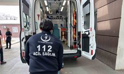 Adıyaman'da zeytin ağacından düşen kişi yaralandı