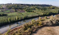 Dicle Nehri’nde Hukuki Boşluk: Hevsel Bahçeleri Tehlike Altında