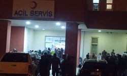 Diyarbakır’da Kahreden Kaza: Eşek 6 Yaşındaki Çocuğu Sürükledi, Canından Etti
