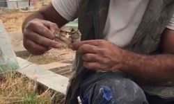 Diyarbakır'da mezarlıktan kefenlenmiş oyuncak bebek çıktı
