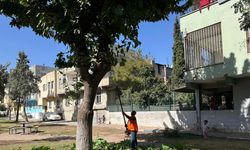 Eyyübiye’deki parklarda sonbahar bakımı