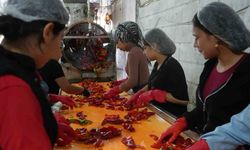 Gaziantep’te kadınların ’acı’ mesaisi
