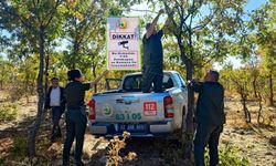 Ormanda  yapay zeka destekli fotokapanla önlem