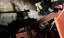 Siirt’te kanala düşen inek kurtarıldı
