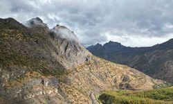 Şırnak'ta sonbaharda meşe ormanları kartpostallık görüntüler oluşturdu