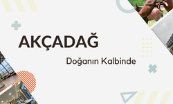 Akçadağ Belediyesi ne var ne yok satışa çıkardı!