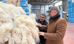 Malatya’da yünler telef değil yorgan olacak