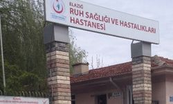 Elazığ, bir asırdır akıl ve ruh sağlığını tedavi ediyor