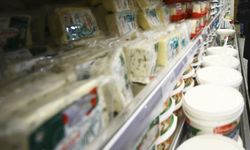 GIDA ÜRÜNLERİ SATIN ALINACAKTIR