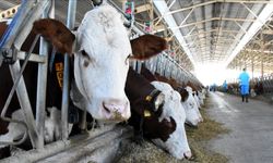 Malatya’ya Bakanlık’tan ödül gibi belge!