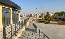 Bunu yapan insan olamaz… Petekleri bile sökmüşler