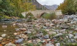 Arapgir’de Hangi Endemik Bitkiler Bulunuyor?