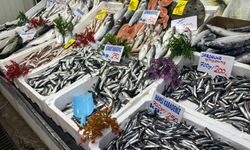 Malatya’da Balık Fiyatları Cep Yakıyor: İşte Tezgâhlarda En Çok Satılan Balıklar