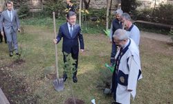 11 Kasım rekoru! 14.9 milyon fidan