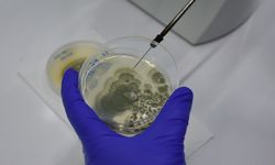 Malatya'dan milli gurur: Artık ithalata son