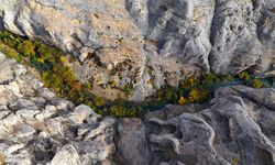 Mevsimlerin en gözdesi Tohma’ya çok yakıştı