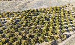 Malatyalılar gelecek yıl için umutlu