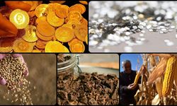 ABD hükümeti yeniden açıldı, piyasalarda hareketlilik ve Fed belirsizliği sürüyor