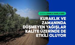 Azalan Su Kaynakları Tarımda Kaliteyi Bozuyor