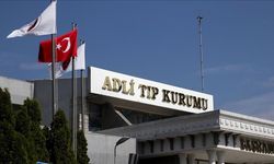 Böcek ailesinin otelde uygulanan ilaca bağlı zehirlenme sonucu öldüğü belirlendi