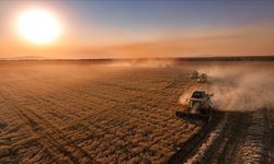 Çiftçilere destek ödemesi bugün hesaplarda