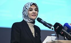 Kadına Yönelik Şiddetle Mücadele V. Ulusal Eylem Planı 25 Kasım'da açıklanacak