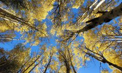 Kars'ta sonbaharın son güzellikleri yaşanıyor