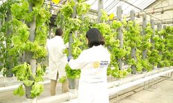 TENMAK, yiyeceklerin raf ömrünü uzatan gıda teknolojisi geliştiriyor