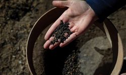 Van Gürpınar Ovası’nda 5 Bin Yıllık Arkeolojik Keşifler