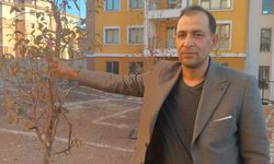 Adıyaman'da geçen yıl kuruyan ağaçlar kasım ayında çiçek açtı