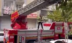 Ağaçta mahsur kalan kediyi kurtarmak için seferber oldular